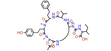 Anabaenopeptin NP 865